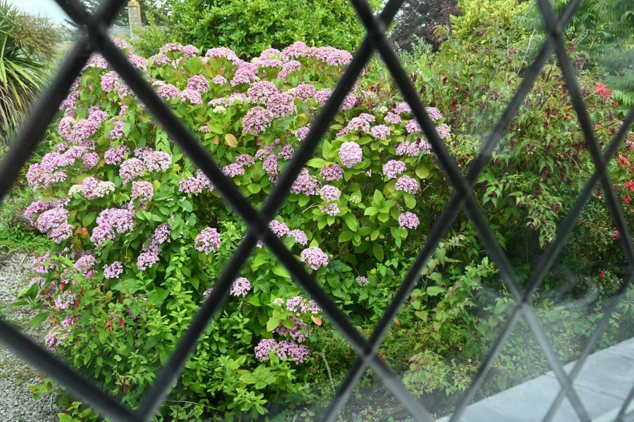 Halwell Lodge St Ives Eksteriør billede